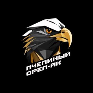 Товарный знак №1229150, принадлежит организации Общество с ограниченной ответственность "Алтайский Нова-Караван", ОГРН 1252200005903, ИНН 2208065515