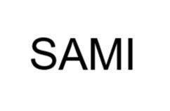 Товарный знак №1229254, принадлежит организации АКЦИОНЕРНОЕ ОБЩЕСТВО "САМИ", ОГРН 1237800124275, ИНН 7816745265