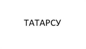 Товарный знак №1229698, принадлежит организации Общество с ограниченной ответственностью "СТАГНУМ", ОГРН 1241600041847, ИНН 1655504441