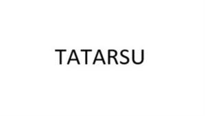 Товарный знак №1229699, принадлежит организации Общество с ограниченной ответственностью "СТАГНУМ", ОГРН 1241600041847, ИНН 1655504441