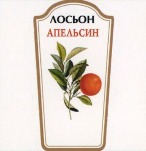 Товарный знак №1230176, принадлежит ИП Витковская Антонина Петровна, ОГРНИП 305770000005600, ИНН 772707934926