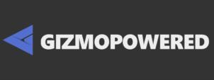 Товарный знак №1230308, принадлежит организации Общество с ограниченной ответственностью «ПЛАТФОРМА ГИЗМО», ОГРН 1242200015254, ИНН 2222908929