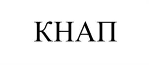 Товарный знак №1231989, принадлежит организации Акционерное общество "КНОПКА", ОГРН 1227700292456, ИНН 9731093039