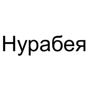 Товарный знак №1236097, принадлежит организации Общество с ограниченной ответственностью "НУР", ОГРН 1181513007422, ИНН 1510018504