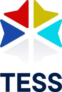 Товарный знак №1237694, принадлежит организации Акционерное общество "ТЭСС", ОГРН 1127746414201, ИНН 7710913752