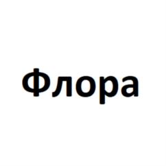 Товарный знак №1237728, принадлежит организации Общество с ограниченной ответственностью с иностранными инвестициями Компания "Флора", ОГРН 1066320176977, ИНН 6322035954