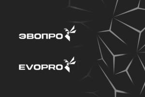 Товарный знак №1238243, принадлежит организации Общество с ограниченной ответственностью Торговый дом  «Эволюция промышленных процессов», ОГРН 1256600022205, ИНН 6658578715