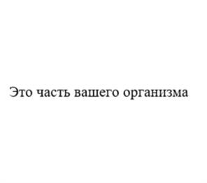 Товарный знак №1241019, принадлежит организации Общество с ограниченной ответственностью «СМАРТЛАЙФ», ОГРН 1177746194460, ИНН 7714977147