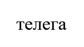 Товарный знак №1243668, принадлежит организации Акционерное общество "Телега", ОГРН 1251600003753, ИНН 1655506819