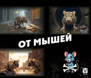 Товарный знак №1244796, принадлежит организации Общество с ограниченной ответственностью «ЭКО-Защита», ОГРН 1205000055457, ИНН 5034058921
