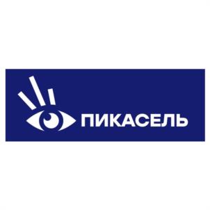 Товарный знак №1246055, принадлежит организации Общество с ограниченной ответственностью "ПИКАСЕЛЬ", ОГРН 1157746843022, ИНН 7734363184
