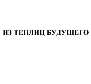 Товарный знак №1246969, принадлежит организации Общество с ограниченной ответственностью "Ви Фрай", ОГРН 1124802000817, ИНН 4802024211