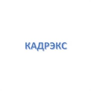 Товарный знак №1250249, принадлежит организации Общество с ограниченной ответственностью "К-ЭКСПЕРТ", ОГРН 1237800027827, ИНН 7801721631