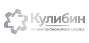 Товарный знак №1251119, принадлежит организации Акционерное общество "КОРПОРАЦИЯ РАЗВИТИЯ НИЖЕГОРОДСКОЙ ОБЛАСТИ", ОГРН 1135260003284, ИНН 5260351747