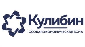 Товарный знак №1251123, принадлежит организации Акционерное общество "КОРПОРАЦИЯ РАЗВИТИЯ НИЖЕГОРОДСКОЙ ОБЛАСТИ", ОГРН 1135260003284, ИНН 5260351747