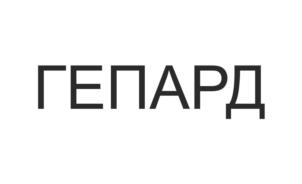 Товарный знак №1251178, принадлежит организации Общество с ограниченной ответственностью "Веломоторс+", ОГРН 1035005002922, ИНН 5027088347