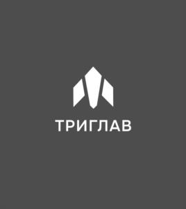 Товарный знак №1251376, принадлежит организации Общество с ограниченной ответственностью "ВСПОМОГАТЕЛЬНЫЕ ФУНКЦИОНАЛЬНЫЕ ПОКРЫТИЯ", ОГРН 1244700034391, ИНН 4706084264