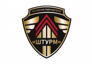 Товарный знак №1252686, принадлежит организации Общество с ограниченной ответственностью ЧАСТНОЕ ОХРАННОЕ ПРЕДПРИЯТИЕ "ЭЛИТНОЕ ПОДРАЗДЕЛЕНИЕ "ШТУРМ", ОГРН 1207700312588, ИНН 9729299402