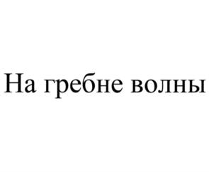 Товарный знак №1253331, принадлежит организации Общество с ограниченной ответственностью НПП "Спецкабель", ОГРН 1027739312281, ИНН 7701165130