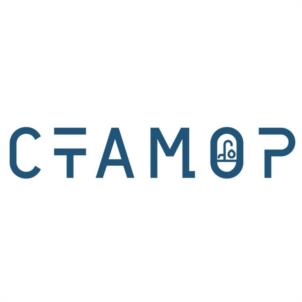 Товарный знак №1253723, принадлежит организации ОБЩЕСТВО С ОГРАНИЧЕННОЙ ОТВЕТСТВЕННОСТЬЮ "ДОМЕСТИКА", ОГРН 1089847312664, ИНН 7807337527