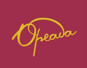 Товарный знак №1255312, принадлежит организации Общество с ограниченной ответственностью "ОРЕАДА - ИНТЕРНЕТ", ОГРН 1097746077362, ИНН 7703695091