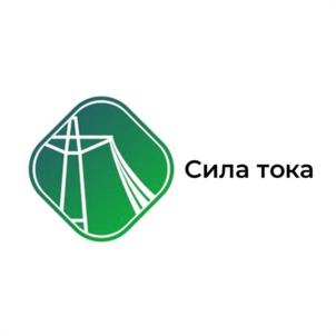 Товарный знак №1257735, принадлежит организации ОБЩЕСТВО С ОГРАНИЧЕННОЙ ОТВЕТСТВЕННОСТЬЮ ПК "СИЛА ТОКА", ОГРН 1167456072959, ИНН 7447260668