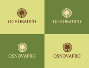 Товарный знак №1265474, принадлежит организации Общество с ограниченной ответственностью "ОСНОВА", ОГРН 1254700007011, ИНН 4705124242