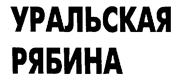 Товарный знак №172447, принадлежит организации Общество с ограниченной ответственностью "Кондитерская фабрика "Конфи", ОГРН 1156685003276, ИНН 6685084987
