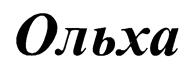Товарный знак №180789, принадлежит организации Общество с ограниченной ответственностью "АГАТ СофТ", ОГРН 1077760000735, ИНН 7716586011