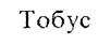 Товарный знак №194562, принадлежит организации Акционерное общество "Тобус", ОГРН 1033600065400, ИНН 3665005646