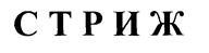 Товарный знак №199078, принадлежит организации Акционерное общество "Судогодское РТП", ОГРН 1023301199470, ИНН 3324003247