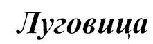 Товарный знак №204307, принадлежит организации Общество с ограниченной ответственностью "АГРОЛИВА", ОГРН 5167746311321, ИНН 7720359276