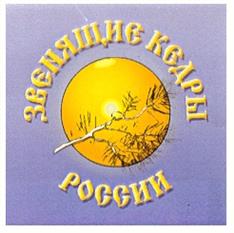Товарный знак №208242, принадлежит организации Общество с ограниченной ответственностью "ЗВЕНЯЩИЕ КЕДРЫ", ОГРН 1105404000118, ИНН 5404405675
