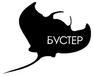 Товарный знак №214021, принадлежит организации Общество с ограниченной ответственностью "АК Бустер", ОГРН 1079847111629, ИНН 7813398408