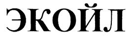 Товарный знак №215737, принадлежит ИП Тимербаев Рустам Тимурбекович, ОГРНИП 308027833600024, ИНН 27816665189