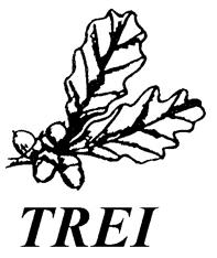 Товарный знак №217146, принадлежит организации Акционерное общество «ТРЭИ», ОГРН 1155835002443, ИНН 5835112634