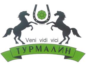 Товарный знак №217201, принадлежит организации Закрытое акционерное общество "Турмалин", ОГРН 1107847096422, ИНН 7813468126