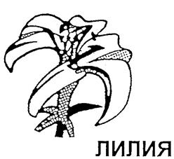 Товарный знак №240675, принадлежит организации Открытое акционерное общество "ПРЯДИЛЬНО-НИТОЧНЫЙ КОМБИНАТ ИМ.С.М.КИРОВА", ОГРН 1027809204499, ИНН 7825666563
