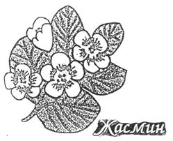 Товарный знак №245600, принадлежит организации Открытое акционерное общество "ПРЯДИЛЬНО-НИТОЧНЫЙ КОМБИНАТ ИМ.С.М.КИРОВА", ОГРН 1027809204499, ИНН 7825666563