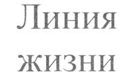 Товарный знак №246862, принадлежит организации Общество с ограниченной ответственностью "Актив", ОГРН 1027000763096, ИНН 7014033376