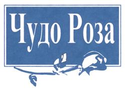 Товарный знак №250325, принадлежит ИП Просянников Сергей Николаевич, ОГРНИП 320673300009455, ИНН 673000029239