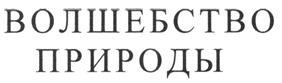 Товарный знак №251288, принадлежит организации Общество с ограниченной ответственностью "Фреш Стайл Косметикс", ОГРН 1107746559909, ИНН 7724754069
