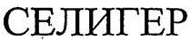 Товарный знак №259923, принадлежит организации Закрытое акционерное общество "Гостиничный комплекс "СЕЛИГЕР", ОГРН 1026900532988, ИНН 6905012980