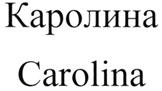 Товарный знак №277028, принадлежит организации Общество с ограниченной ответственностью "Магазин Интерьерные Двери", ОГРН 1057747312149, ИНН 7724547270