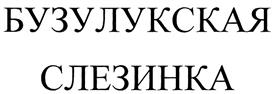 Товарный знак №305827, принадлежит организации Общество с ограниченной ответственностью "Торговый дом "Совин", ОГРН 1025602723673, ИНН 5638015769