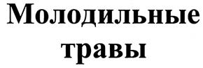Товарный знак №306571, принадлежит ИП Вольфович Лев Давидович, ОГРНИП 312774601100490, ИНН 770202836296