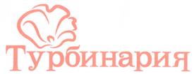 Товарный знак №314488, принадлежит организации Общество с ограниченной ответственностью "Турбинария", ОГРН 1097760003307, ИНН 7709813383