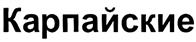 Товарный знак №316119, принадлежит ИП Баймашев Касим Аминович, ОГРНИП 304132831600088, ИНН 132800460852