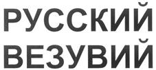 Товарный знак №320045, принадлежит организации Общество с ограниченной ответственностью "ВМК-Оптоэлектроника", ОГРН 1025401030082, ИНН 6658404973