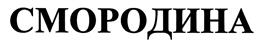 Товарный знак №361720, принадлежит организации Общество с ограниченной ответственностью "АБР Регион", ОГРН 1117746977611, ИНН 7703758344